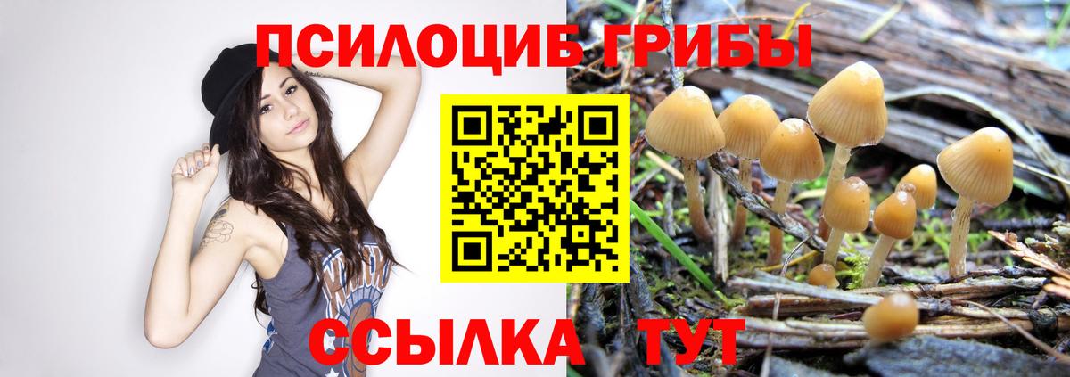 Славгород  Галлюциногенные грибы GOLDEN TEACHER  Вход с VPN 