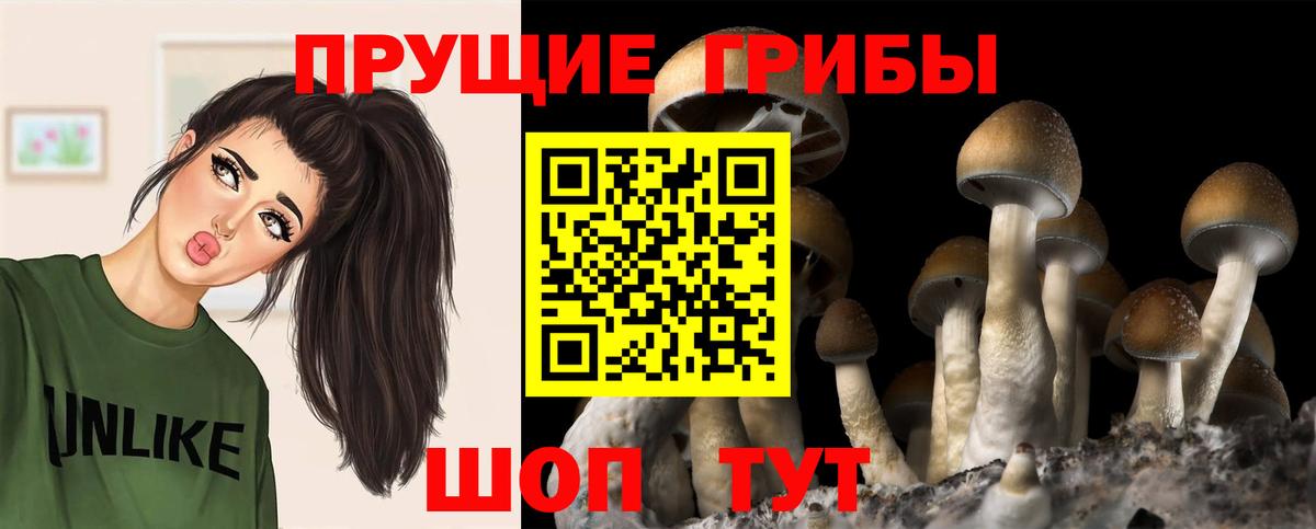 Галлюциногенные грибы MAGIC MUSHROOMS Славгород